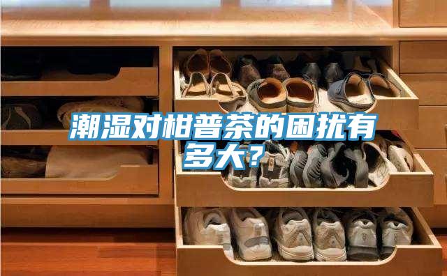 潮濕對柑普茶的困擾有多大？
