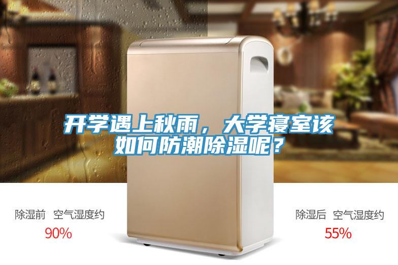 開學遇上秋雨，大學寢室該如何防潮除濕呢？