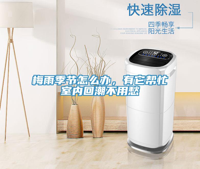 梅雨季節(jié)怎么辦，有它幫忙室內(nèi)回潮不用愁
