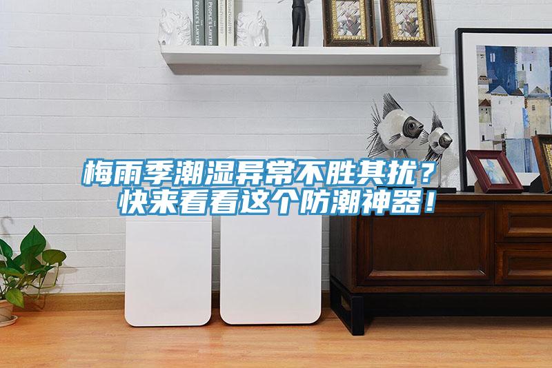 梅雨季潮濕異常不勝其擾？ 快來看看這個防潮神器！