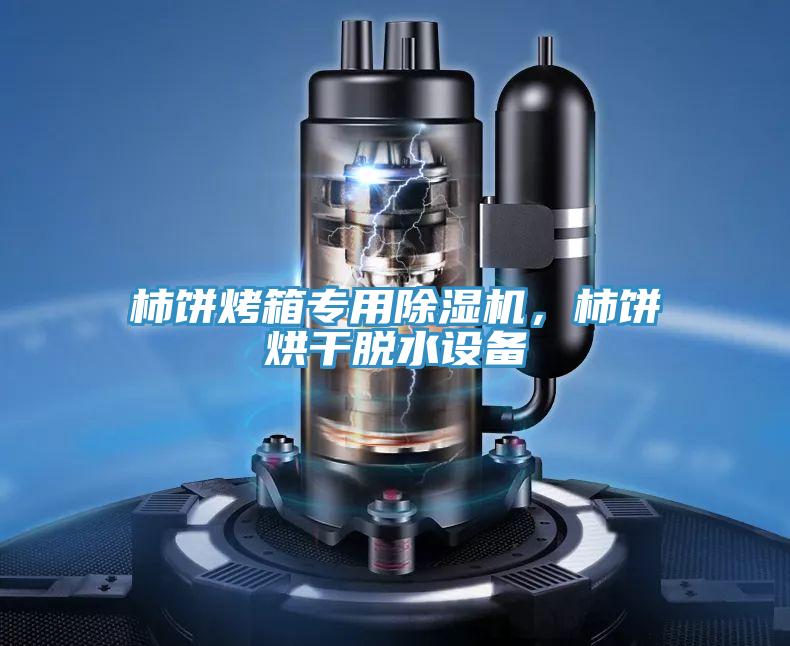 柿餅烤箱專用除濕機(jī)，柿餅烘干脫水設(shè)備