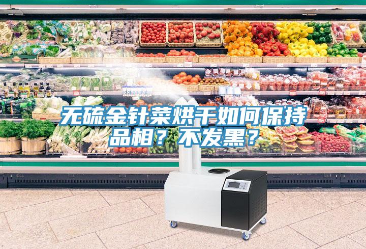無硫金針菜烘干如何保持品相？不發(fā)黑？