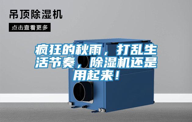 瘋狂的秋雨，打亂生活節(jié)奏，除濕機(jī)還是用起來！
