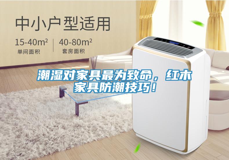 潮濕對家具最為致命，紅木家具防潮技巧！