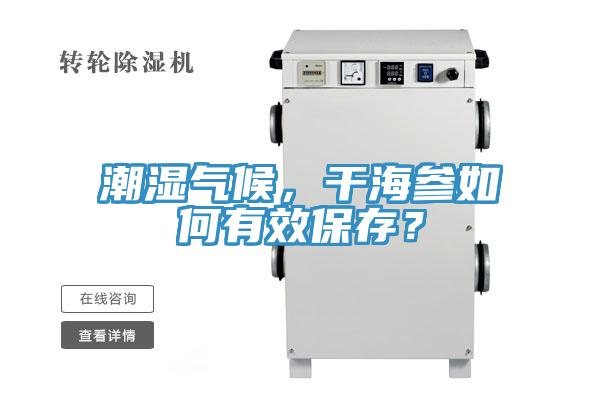 潮濕氣候，干海參如何有效保存？