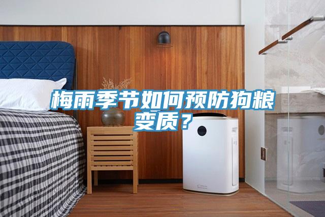 梅雨季節(jié)如何預防狗糧變質？
