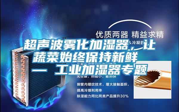 超聲波霧化加濕器，讓蔬菜始終保持新鮮 — 工業(yè)加濕器專題