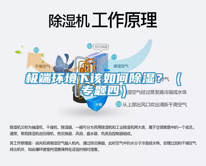 極端環(huán)境下該如何除濕？（專題四）