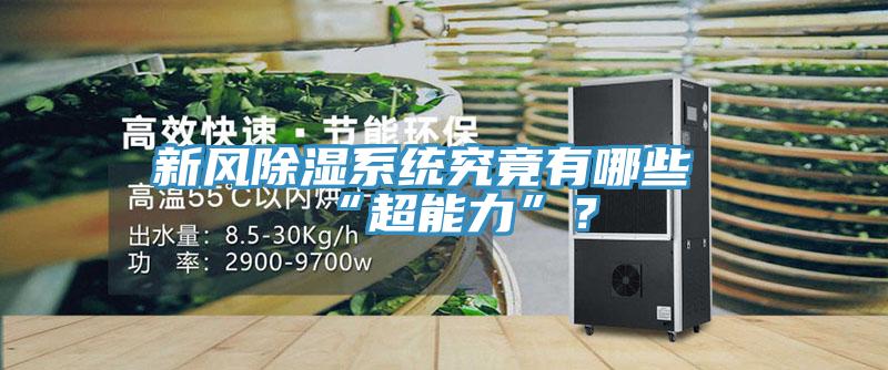 新風(fēng)除濕系統(tǒng)究竟有哪些“超能力”？