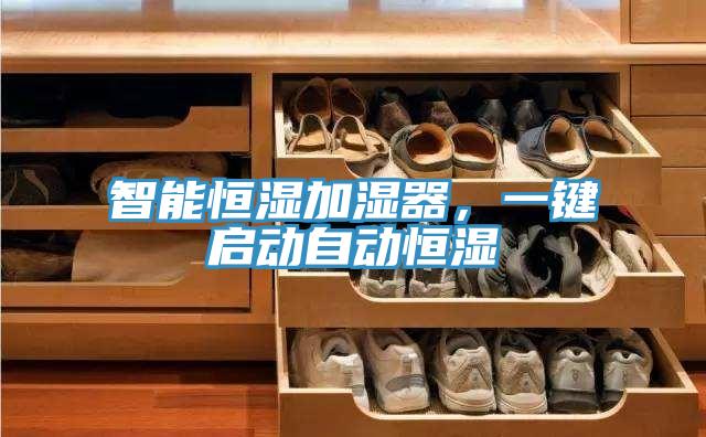 智能恒濕加濕器，一鍵啟動(dòng)自動(dòng)恒濕