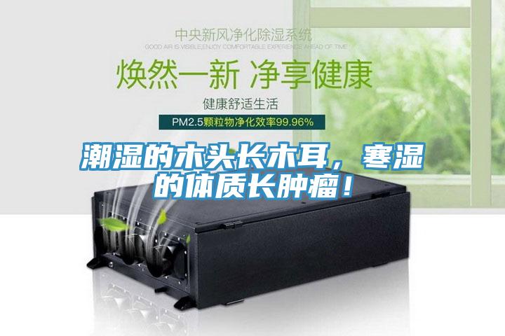 潮濕的木頭長木耳，寒濕的體質長腫瘤！