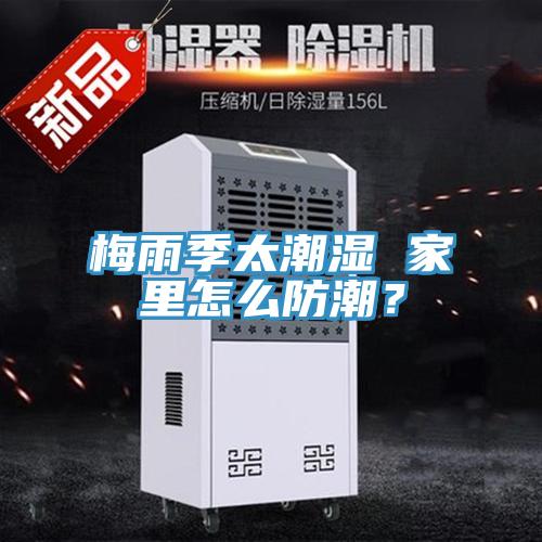 梅雨季太潮濕 家里怎么防潮？