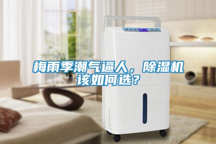 梅雨季潮氣逼人，除濕機(jī)該如何選？