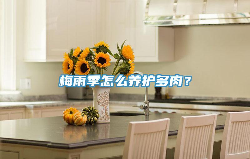 梅雨季怎么養(yǎng)護多肉？