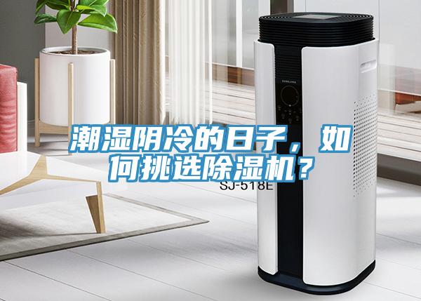 潮濕陰冷的日子，如何挑選除濕機？