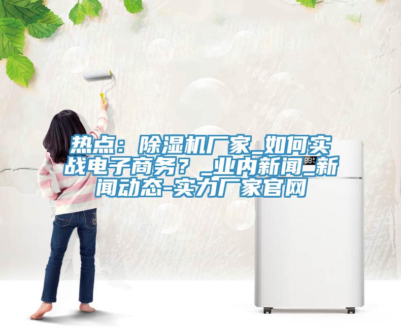 熱點(diǎn)：除濕機(jī)廠家_如何實(shí)戰(zhàn)電子商務(wù)？_業(yè)內(nèi)新聞_新聞動(dòng)態(tài)-實(shí)力廠家官網(wǎng)