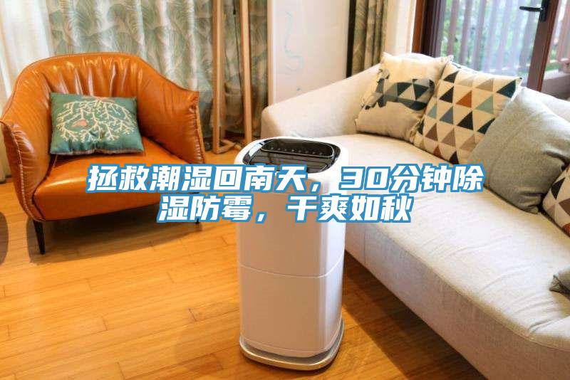 拯救潮濕回南天，30分鐘除濕防霉，干爽如秋