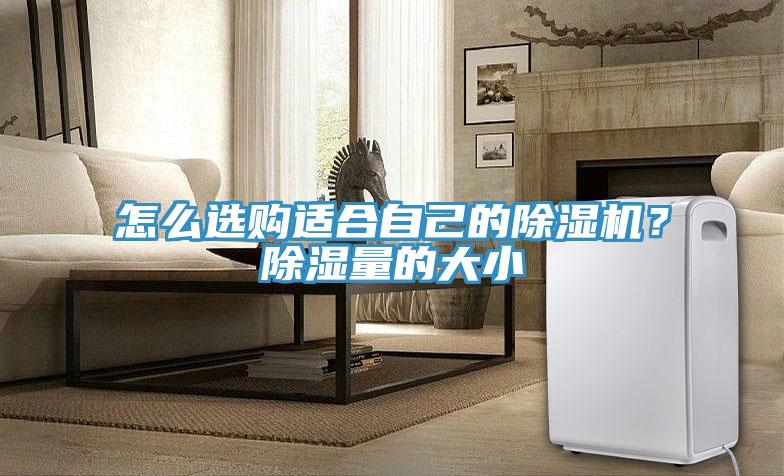 怎么選購(gòu)適合自己的除濕機(jī)？除濕量的大小