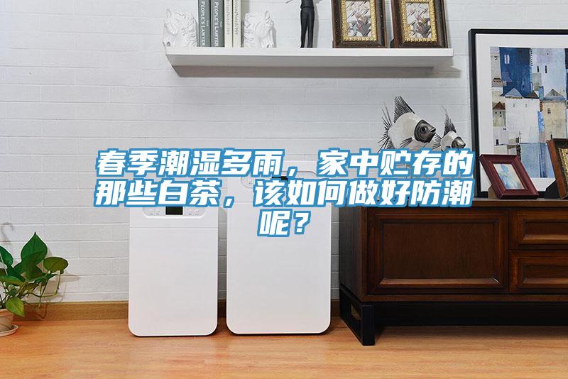 春季潮濕多雨，家中貯存的那些白茶，該如何做好防潮呢？