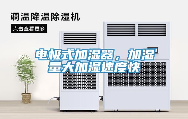 電極式加濕器，加濕量大加濕速度快