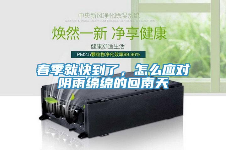 春季就快到了，怎么應(yīng)對陰雨綿綿的回南天