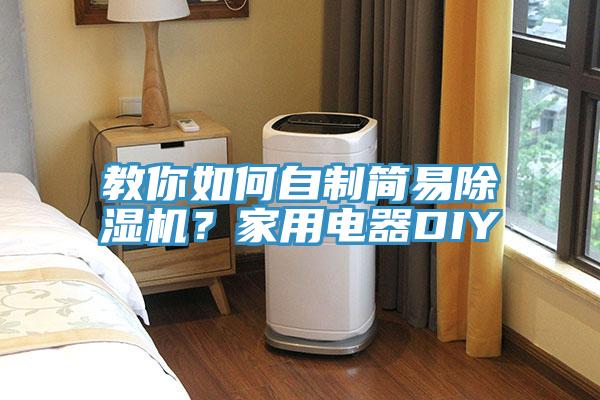 教你如何自制簡(jiǎn)易除濕機(jī)？家用電器DIY