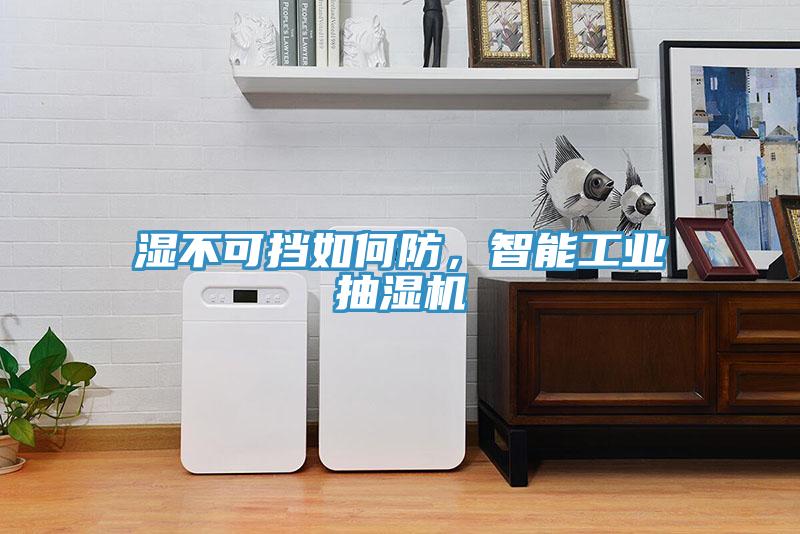 濕不可擋如何防，智能工業(yè)抽濕機(jī)