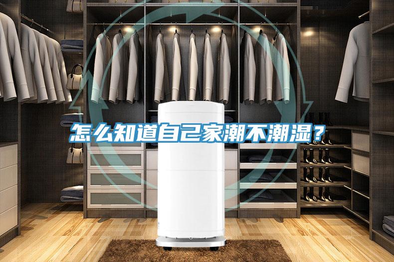 怎么知道自己家潮不潮濕？