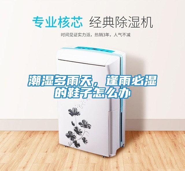 潮濕多雨天，逢雨必濕的鞋子怎么辦