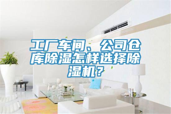 工廠車間、公司倉庫除濕怎樣選擇除濕機？