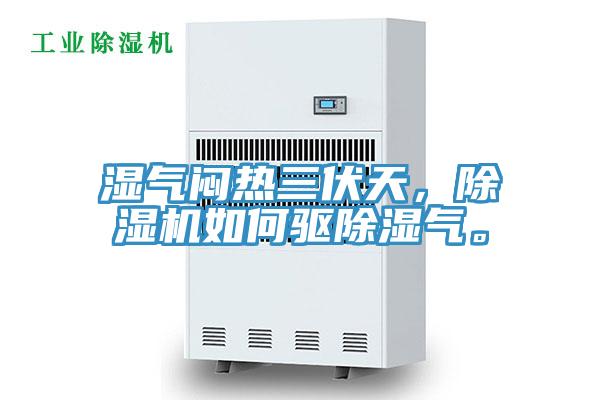 濕氣悶熱三伏天，除濕機(jī)如何驅(qū)除濕氣。