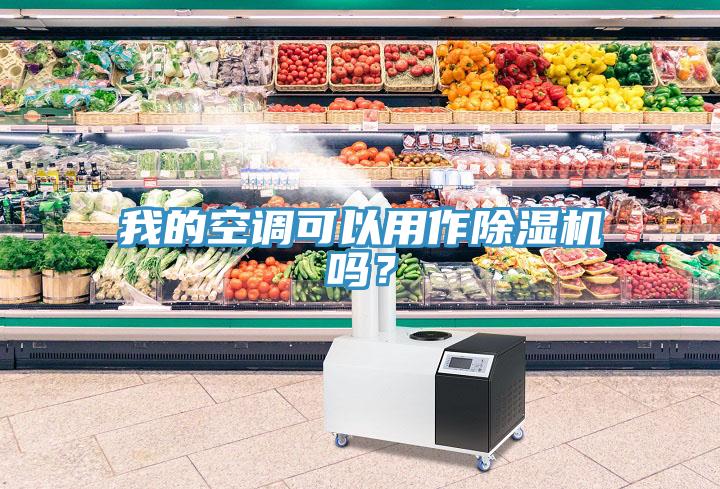 我的空調(diào)可以用作除濕機嗎？