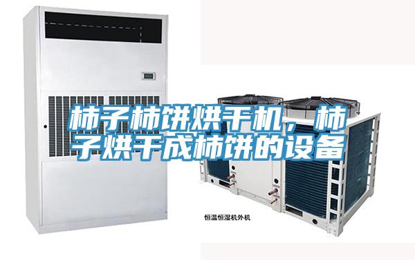 柿子柿餅烘干機(jī)，柿子烘干成柿餅的設(shè)備