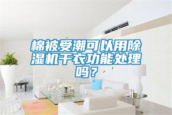 棉被受潮可以用除濕機干衣功能處理嗎？