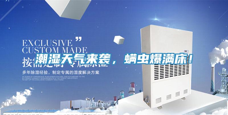 潮濕天氣來襲，螨蟲爆滿床！
