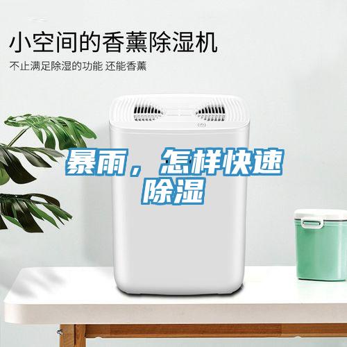 暴雨，怎樣快速除濕