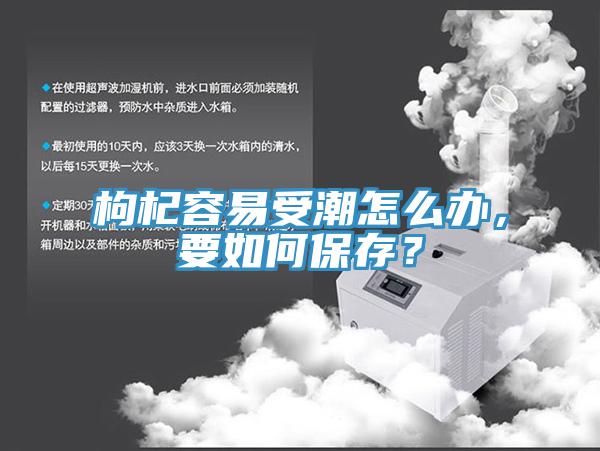 枸杞容易受潮怎么辦，要如何保存？