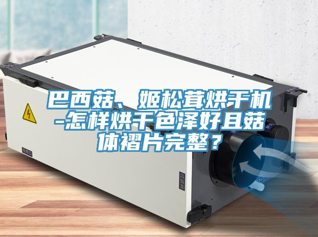 巴西菇、姬松茸烘干機(jī)-怎樣烘干色澤好且菇體褶片完整？