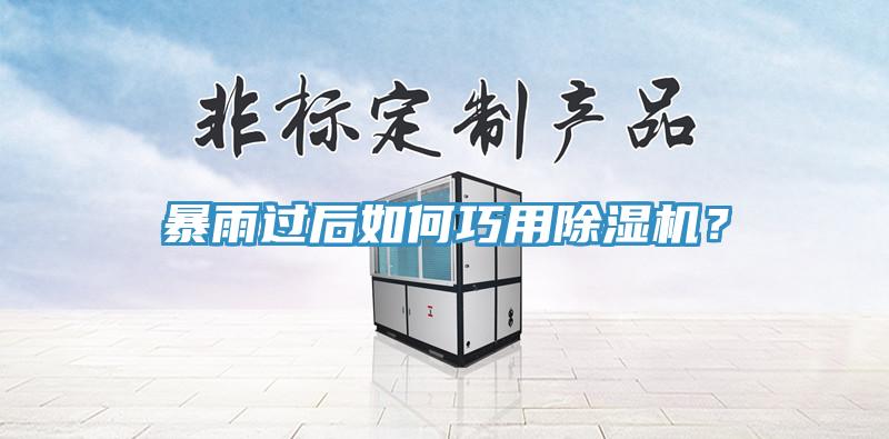 暴雨過后如何巧用除濕機？