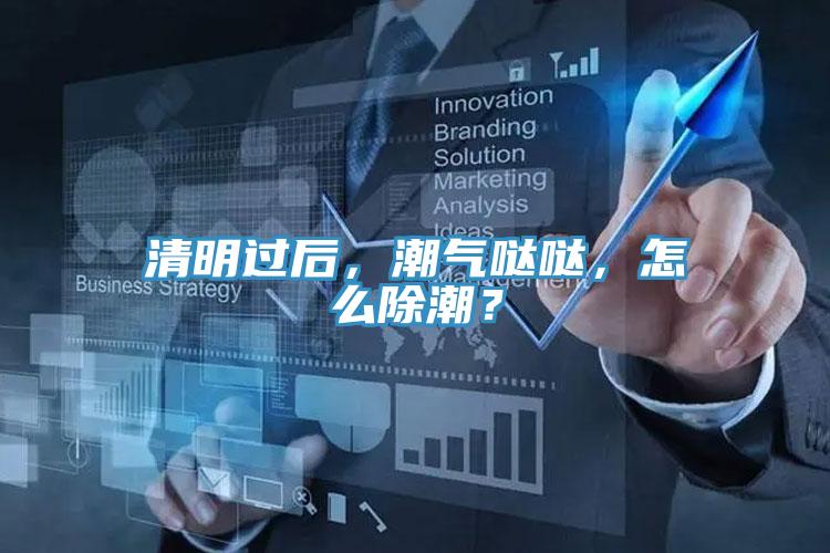 清明過(guò)后，潮氣噠噠，怎么除潮？
