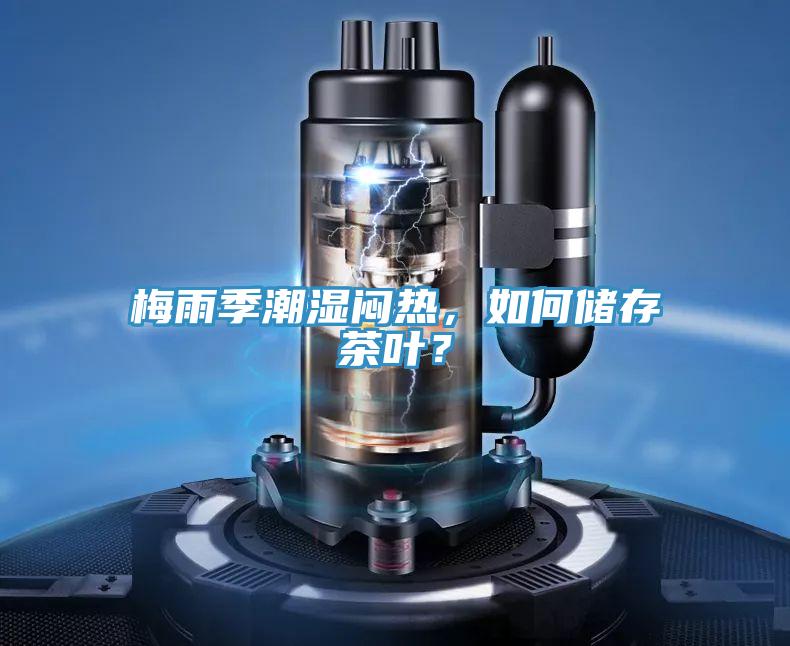 梅雨季潮濕悶熱，如何儲存茶葉？