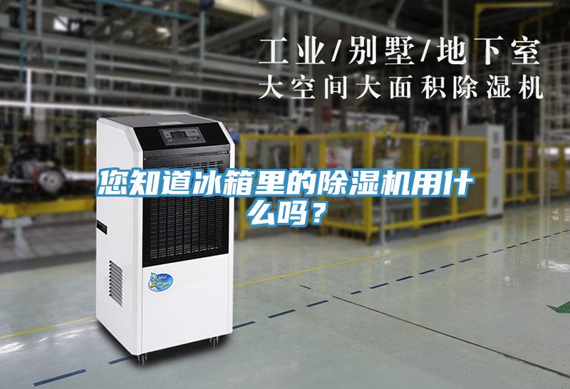 您知道冰箱里的除濕機用什么嗎？