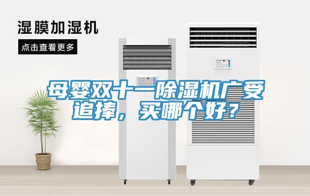 母嬰雙十一除濕機(jī)廣受追捧，買哪個好？