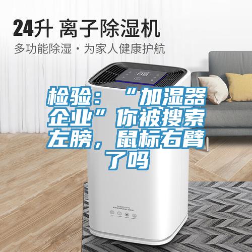 檢驗：“加濕器企業(yè)”你被搜索左膀，鼠標右臂了嗎