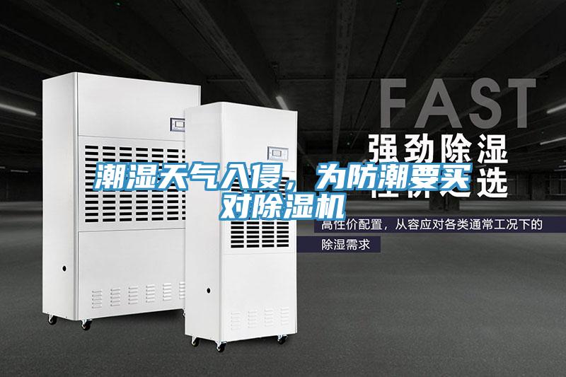 潮濕天氣入侵，為防潮要買對除濕機