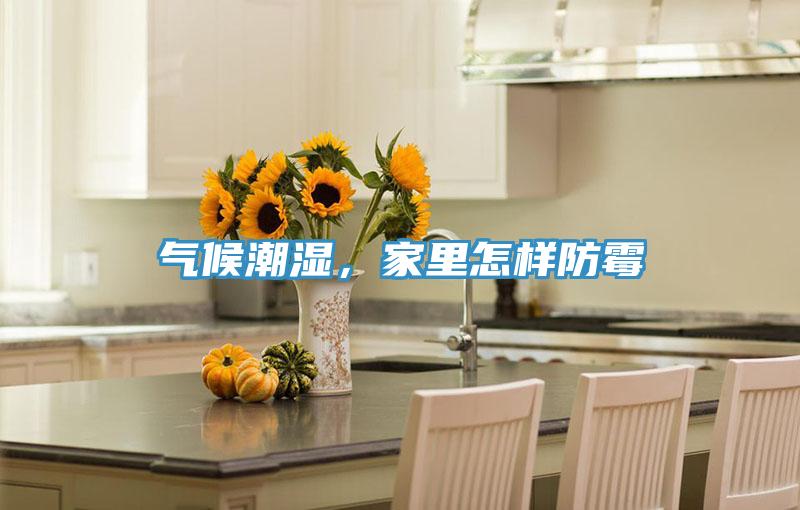 氣候潮濕，家里怎樣防霉