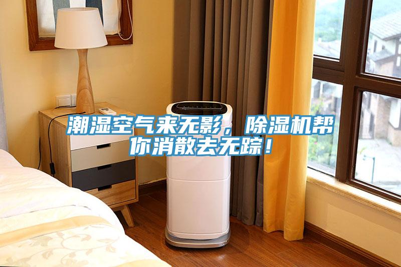 潮濕空氣來無影，除濕機幫你消散去無蹤！