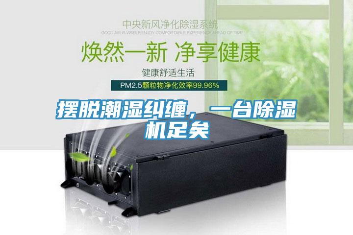 擺脫潮濕糾纏，一臺(tái)除濕機(jī)足矣