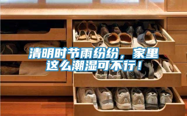 清明時(shí)節(jié)雨紛紛，家里這么潮濕可不行！