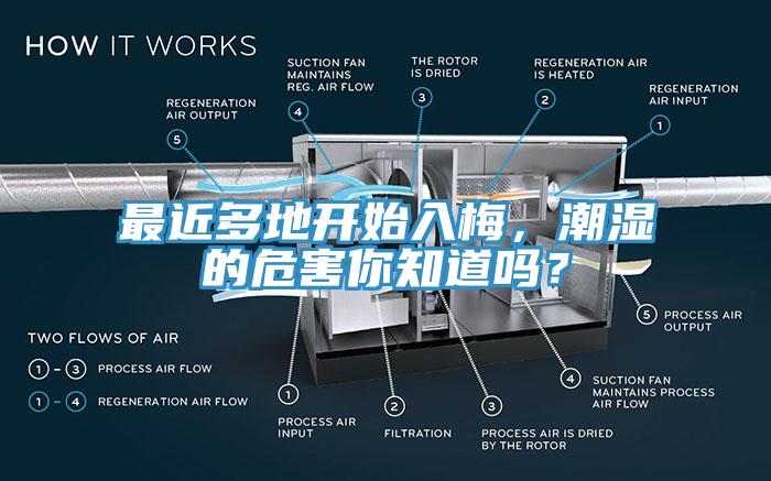 最近多地開始入梅，潮濕的危害你知道嗎？